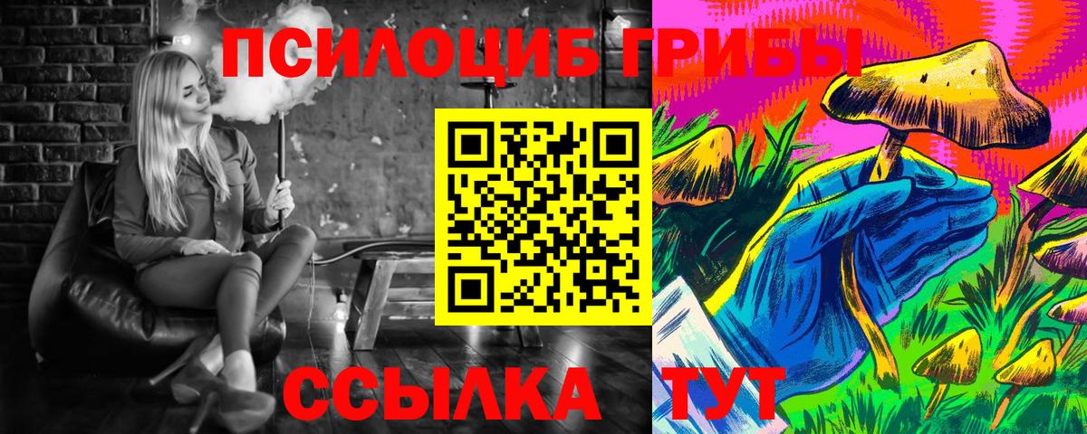 цена   Вход с VPN  Псилоцибиновые грибы ЛСД  Зеленогорск  Псилоцибиновые грибы ЛСД 